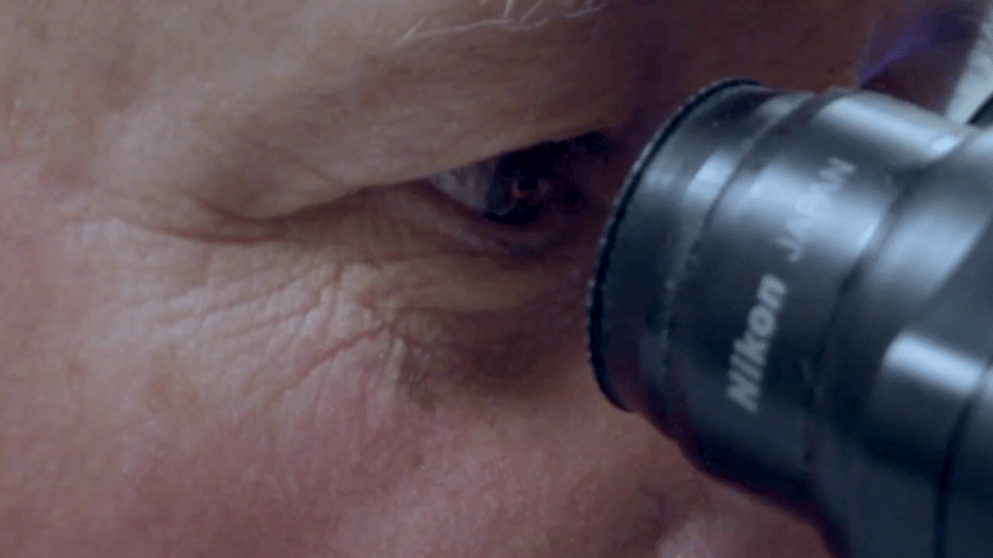 A close-up of a person looking into a microscope A close-up of a person looking into a microscope