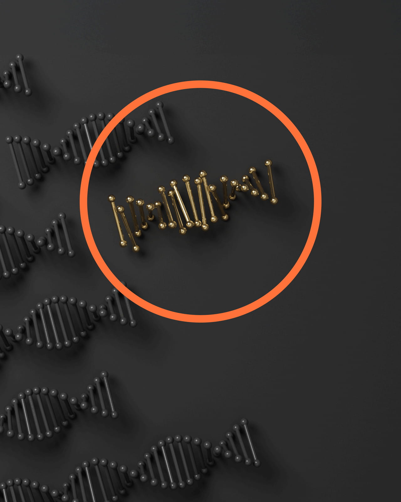 Dark gray DNA helixes with an orange circle around one gold helix.