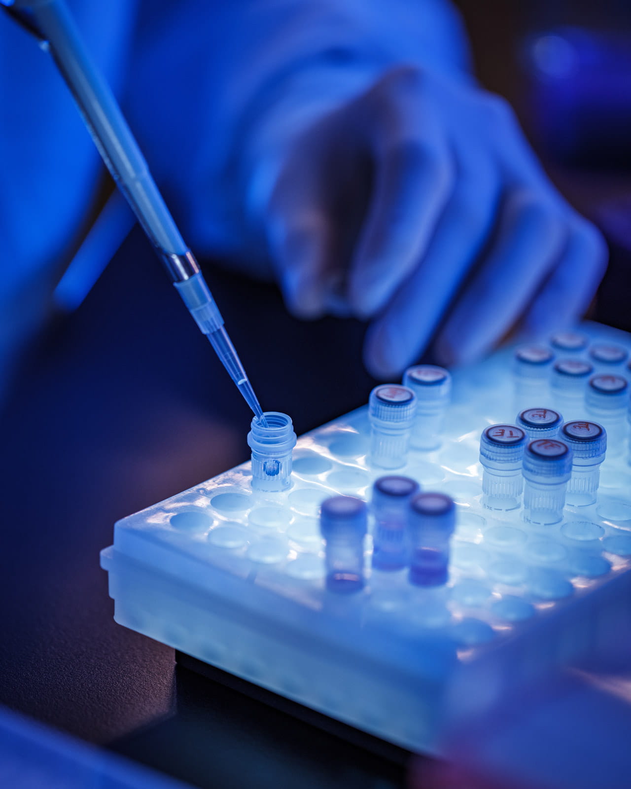 A lab technician filling a test tube with a pipette.